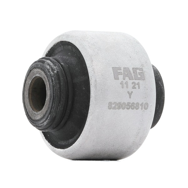 Lagerung, Lenker von FAG