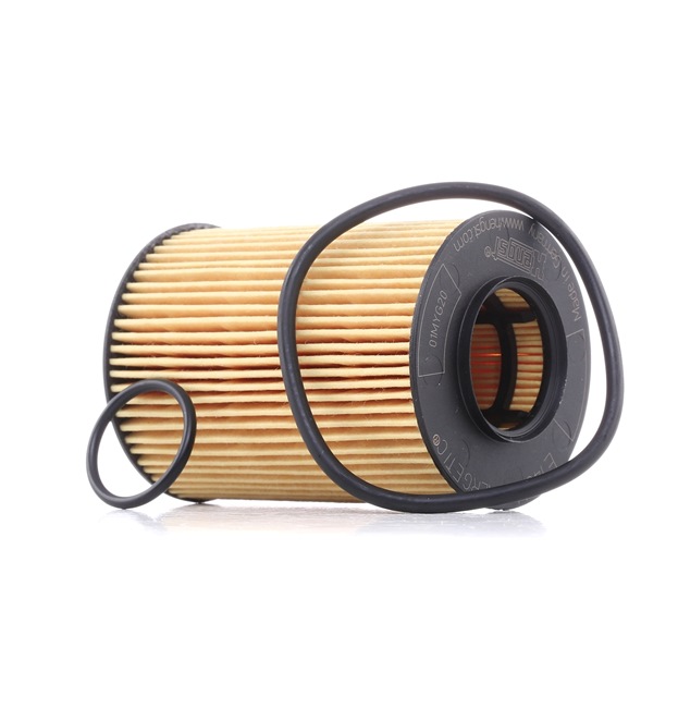 Acquista online HENGST FILTER Filtro olio Art.: E146H D108