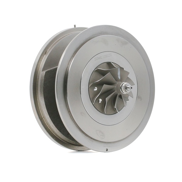 Rumpfgruppe Turbolader 4973C0252 BMW X6 von RIDEX