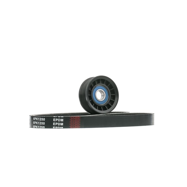 Acquista Kit Cinghie Poly-V da RIDEX 542R0798 a buon mercato per soli 25,03 €