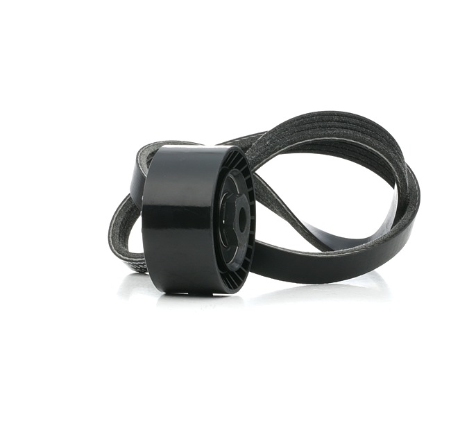 Keilrippenriemensatz 542R0837 RENAULT TWINGO von RIDEX