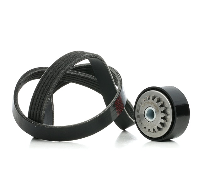 Keilrippenriemensatz 542R0855 RENAULT TWINGO von RIDEX