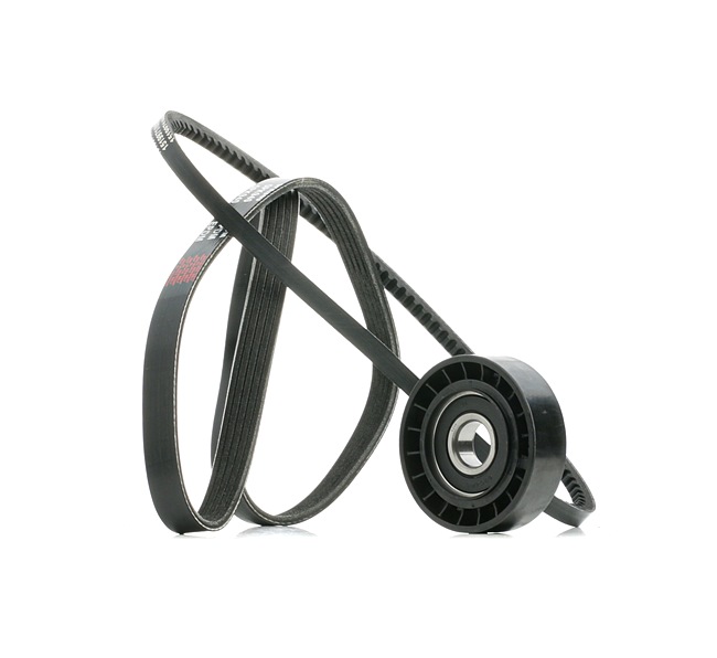 Achetez des Jeu de courroies trapézoïdales à nervures RIDEX 542R0867 à prix pour 29,48 €