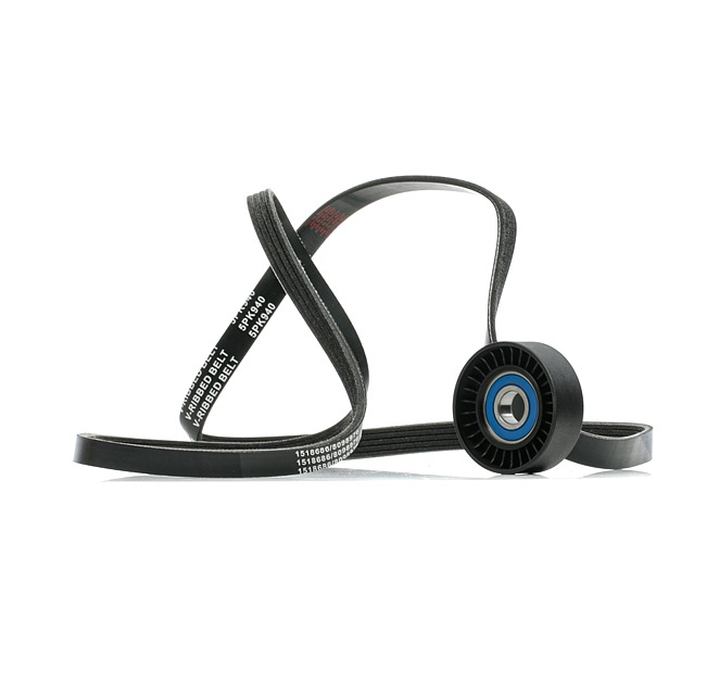 Achetez des Jeu de courroies trapézoïdales à nervures RIDEX 542R0889 à prix pour 30,49 €
