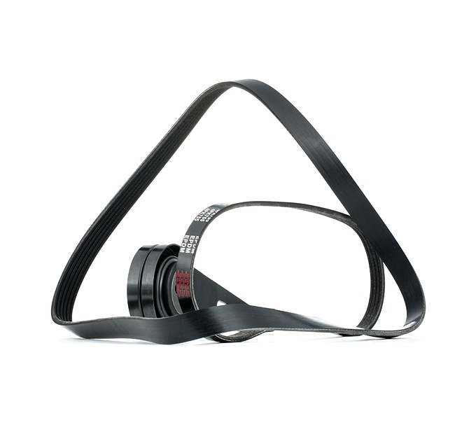 Achetez des Jeu de courroies trapézoïdales à nervures RIDEX 542R0907 à prix pour 51,46 €
