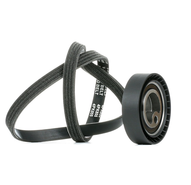 Compre Jogo de correias trapezoidais estriadas da STARK SKRBS-1200925 a um preço baixo por 33,73 €