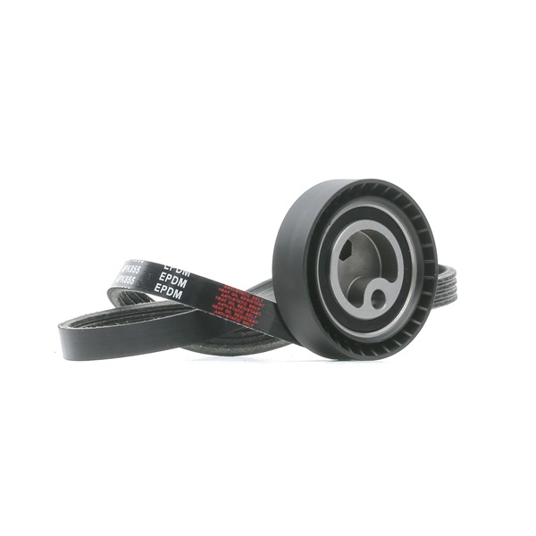 Keilrippenriemensatz von RIDEX für Range Rover II (P38A) günstig online kaufen