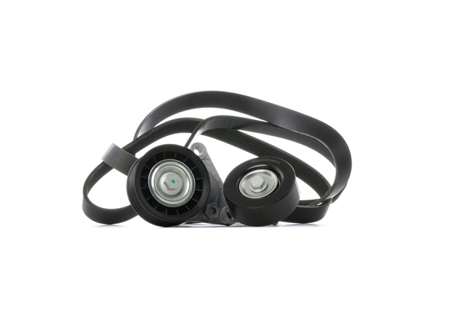 Achetez des Jeu de courroies trapézoïdales à nervures RIDEX 542R0950 à prix pour 79,88 €