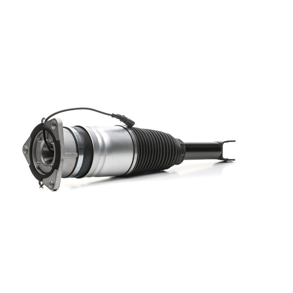 Acquista Ammortizzatore pneumatico da RIDEX 4118A0100 a buon mercato per soli 502,78 €
