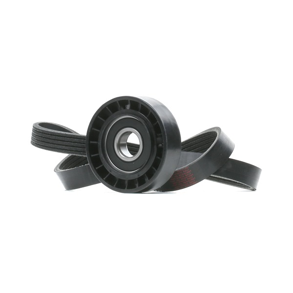 Achetez des Jeu de courroies trapézoïdales à nervures RIDEX 542R0969 à prix pour 24,59 €