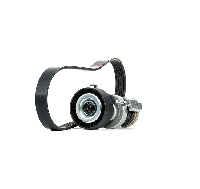 Compre Kit de correa de alternador de RIDEX online para Fabia I Combi (6Y5) a precios moderados