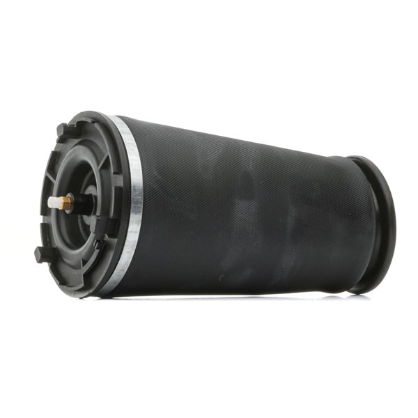 Luftfeder, Fahrwerk 4119A0094