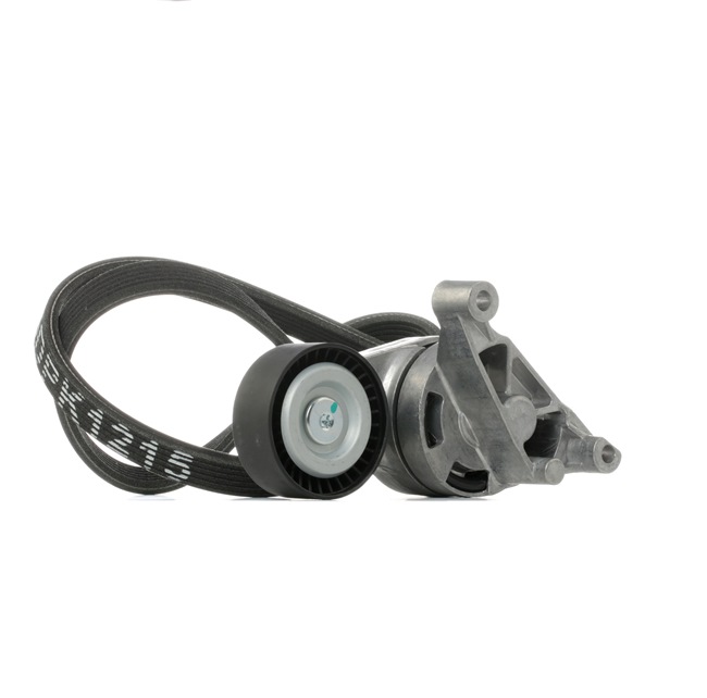 Compre Jogo de correias trapezoidais estriadas da RIDEX 542R1022 a um preço baixo por 53,77 €