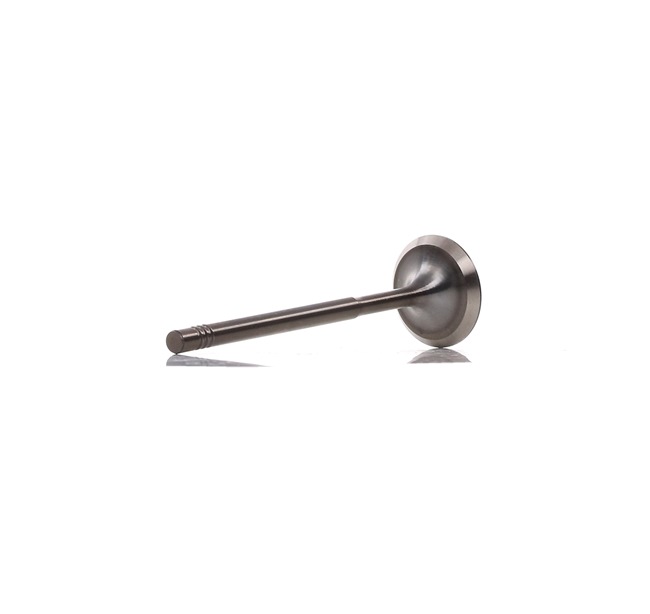 Einlaßventil PAUD027-S-0-N von AMP günstig für 9,71 € online kaufen