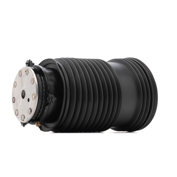 Luftfeder, Fahrwerk 4119A0104 von RIDEX günstig für 121,84 € online kaufen