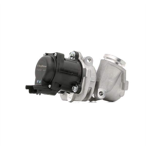 Comprar Válvula EGR de WAHLER 711021D/1 a bajo precio de 91,98 €