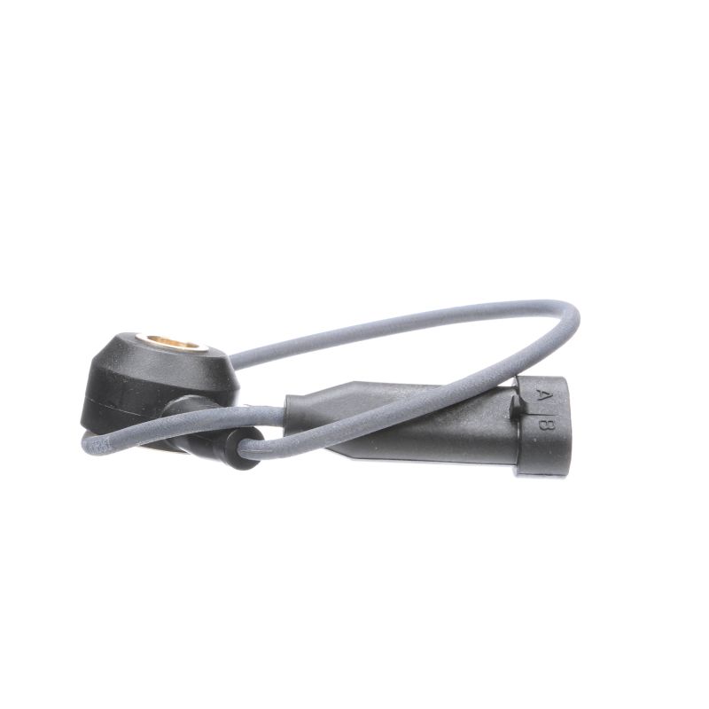Compre Sensor de detonação da DELPHI AS10134-12B1 a um preço baixo por 18,31 €