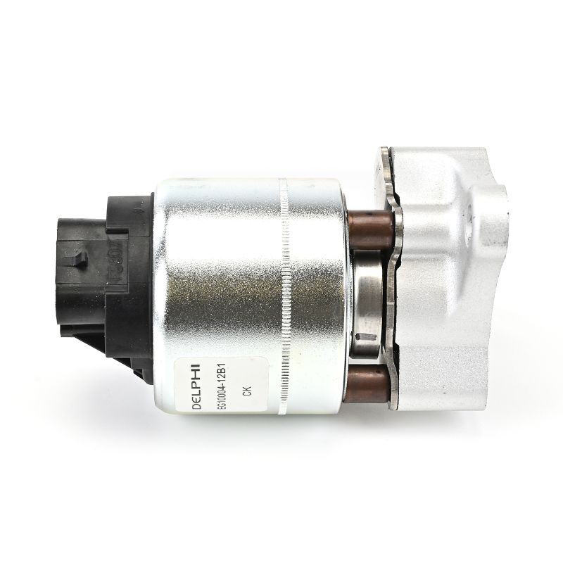 Acquista Valvola EGR da DELPHI EG10004-12B1 a buon mercato per soli 97,78 €