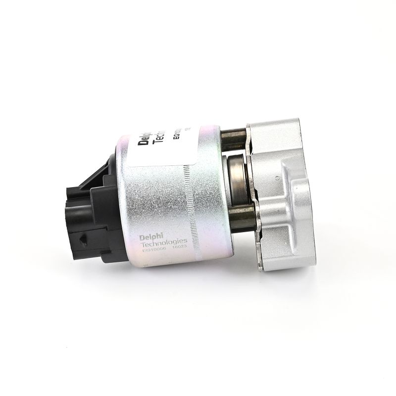 Acquista Valvola EGR da DELPHI EG10006-12B1 a buon mercato per soli 93,05 €