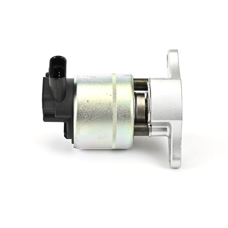 Compre DELPHI Válvula EGR Art.: EG10015-12B1 online
