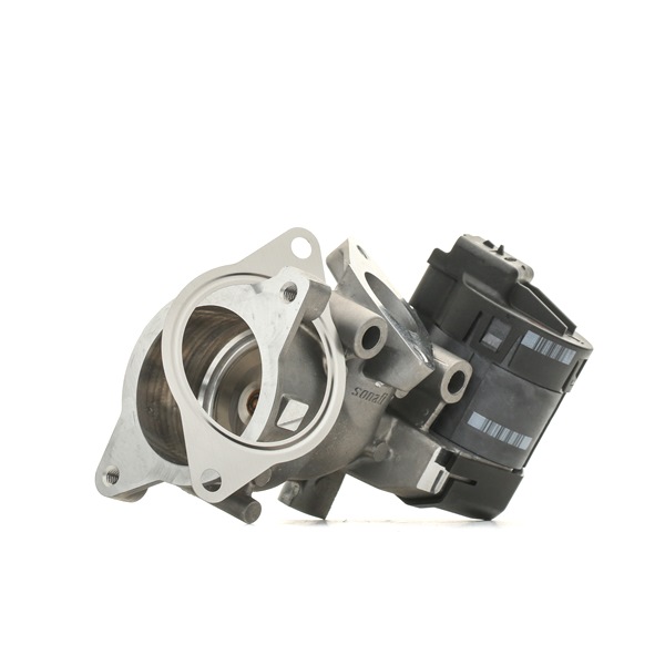Acquista Valvola EGR da DELPHI EG10396-12B1 a buon mercato per soli 175,84 €