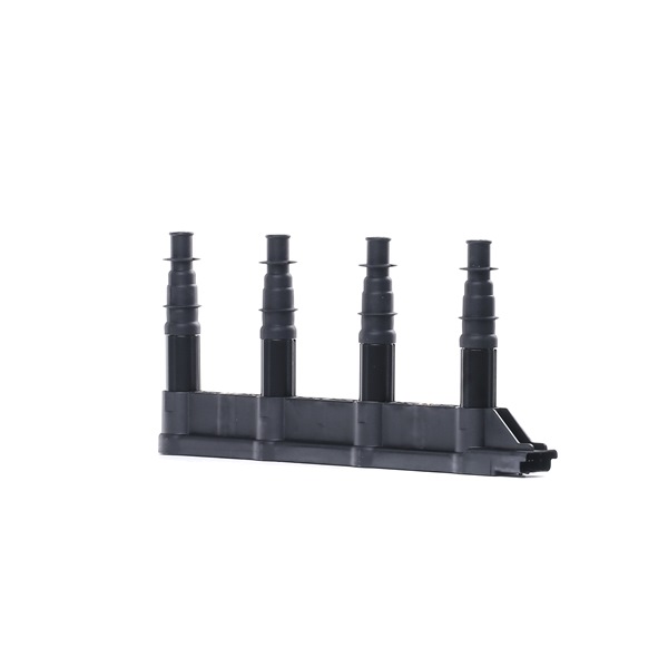 Comprar Bobina de encendido de DELPHI GN10239-12B1 a bajo precio de 77,47 €