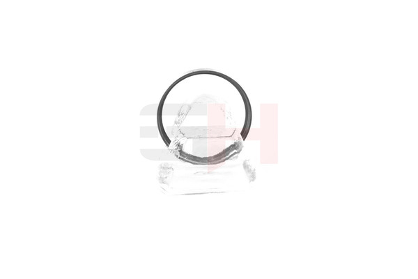 Comprar Anillo sensor, ABS de GH GH-493763 a bajo precio de 10,86 €
