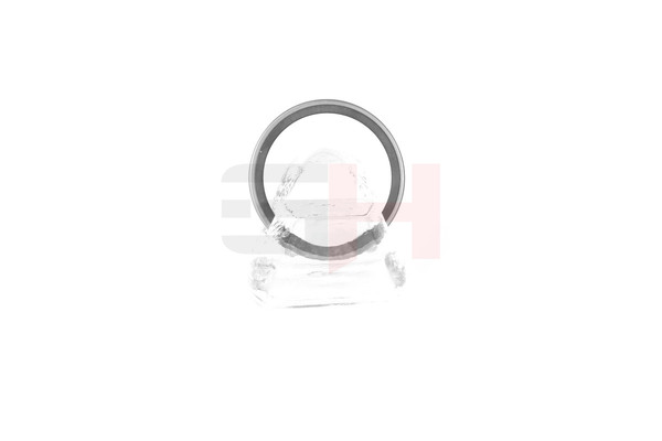 Compre Anel de sensor, ABS da GH GH-493910 a um preço baixo por 10,64 €
