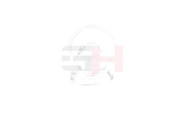 Compre Anel de sensor, ABS da GH GH-493981 a um preço baixo por 11,26 €