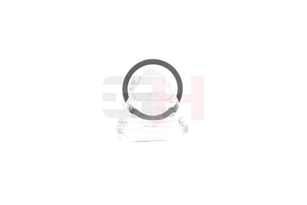 Comprar Anillo sensor, ABS de GH GH-493985 a bajo precio de 10,86 €