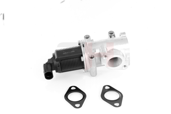 AGR-Ventil für SUZUKI von GH