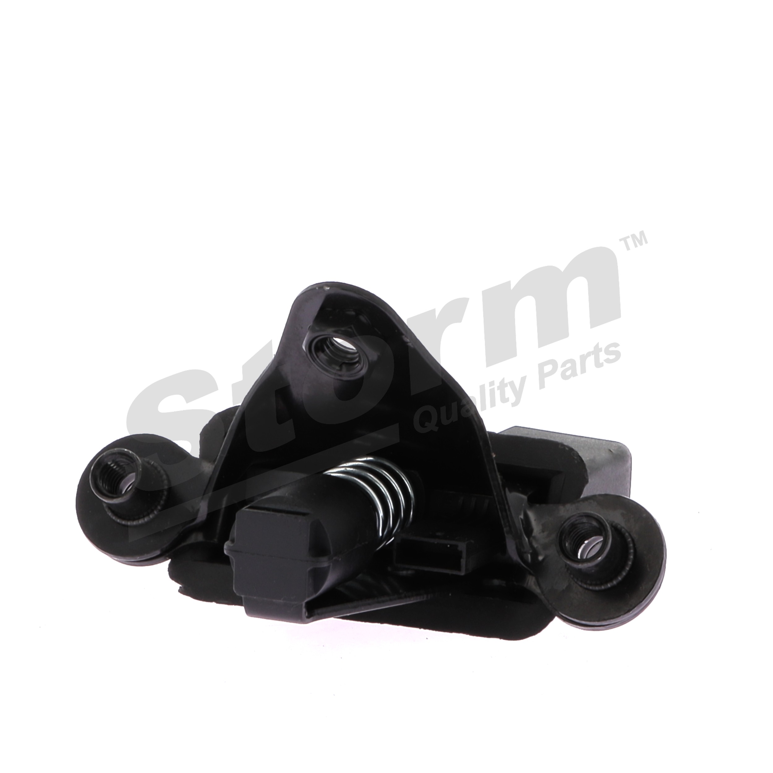 Compre Fechadura da tampa da bagageira da STORM QUALITY PARTS 9902503 a um preço baixo por 39,66 €