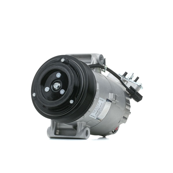 Acquista Compressore aria condizionata da DELPHI TSP0155928 a buon mercato per soli 197,50 €