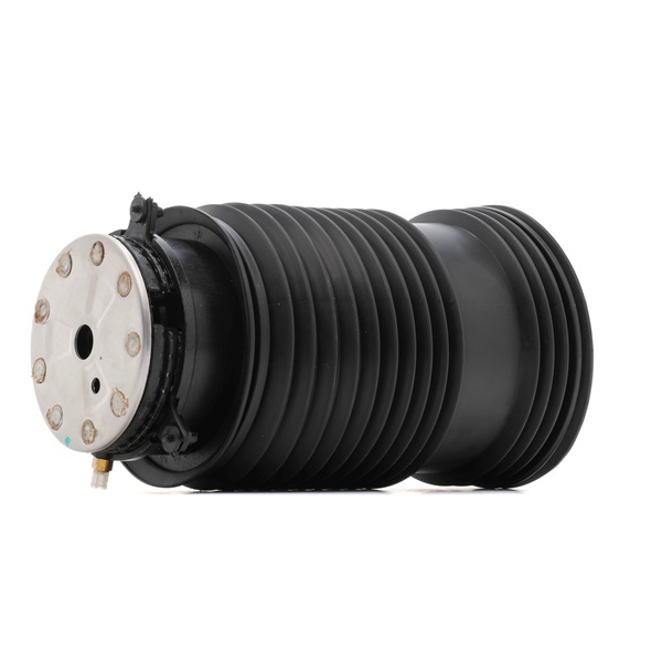Luftfeder, Fahrwerk 4119A0105 von RIDEX günstig für 146,40 € online kaufen