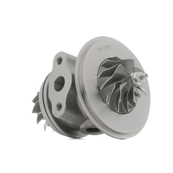 Rumpfgruppe Turbolader 4973C0272 NISSAN PATROL von RIDEX