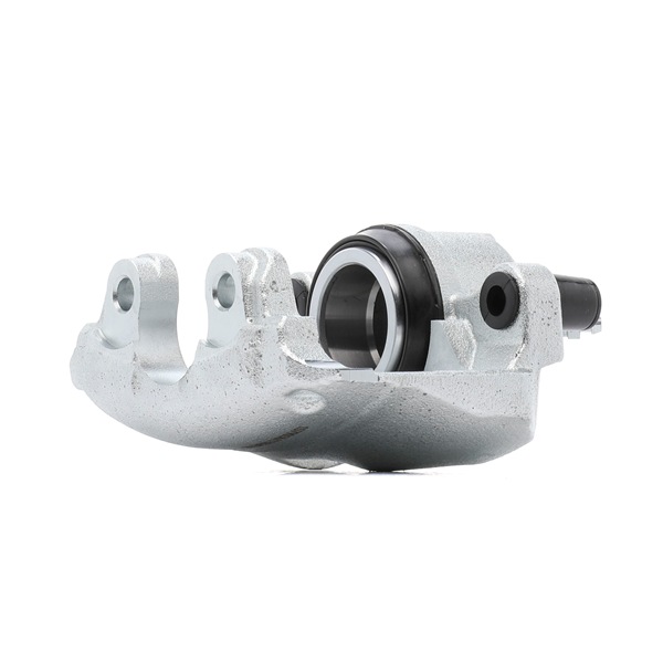 Online Shop für Bremssattel von RIDEX EAN: 4066016938894