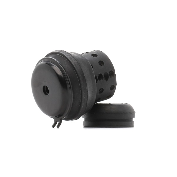 Osta Moottorin tuki RIDEX:llä 247E0828 edullisesti hintaan 16,91&nbsp;&euro;