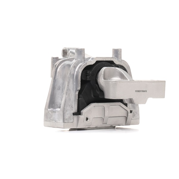 Acquista Supporto motore da RIDEX 247E0846 a buon mercato per soli 70,48 €
