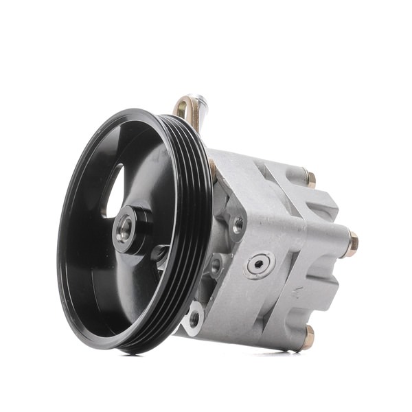 Comprar Bomba de dirección de STARK SKHP-0540331 a bajo precio de 196,52 €