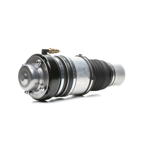 Osta Ilmajousi RIDEX:llä 4119A0109 edullisesti hintaan 521,98 €