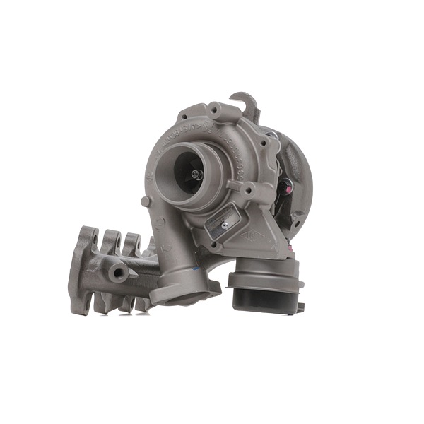 Original RIDEX REMAN Turbolader online kaufen