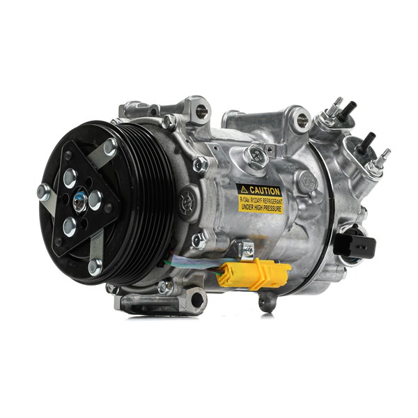 Acquista Compressore aria condizionata da RIDEX REMAN 447K0267R a buon mercato per soli 223,15 €