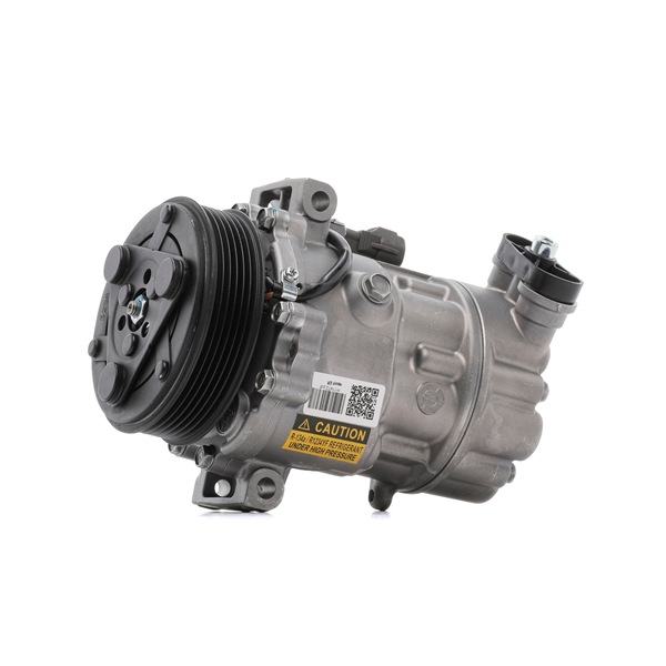 Compre Compressor, ar condicionado da RIDEX REMAN 447K0556R a um preço baixo por 206,81 €