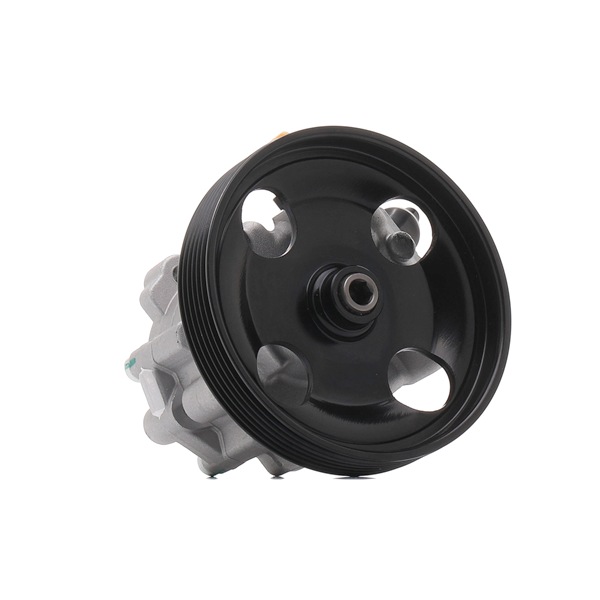 Achetez des Pompe de direction assistée RIDEX REMAN 12H0095R à prix pour 108,12 €