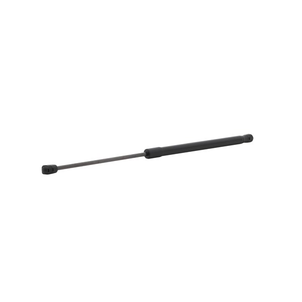 Köp Gasfjäder till baklucka av RIDEX 219G1088 till det låga priset 170,66 kr