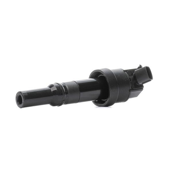 Osta Sytytyspuola RIDEX:llä 689C0438 edullisesti hintaan 27,63 €