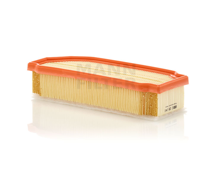 Luftfilter C 29 041