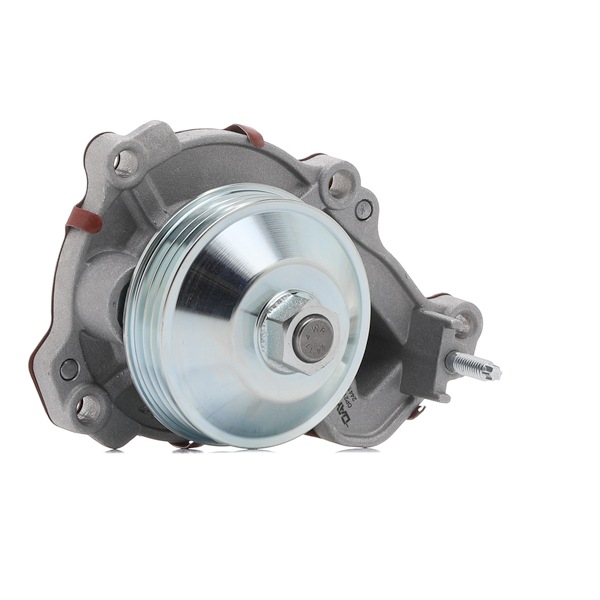 Wasserpumpe von DAYCO DP2174