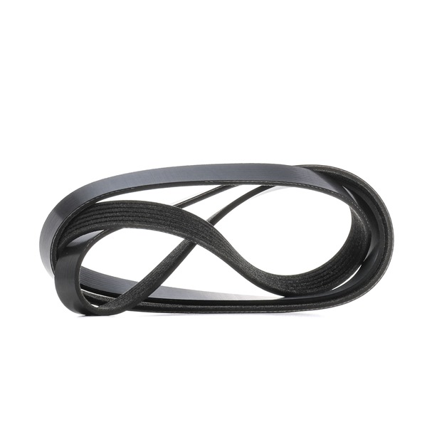 Acquista Cinghia servizi da RIDEX 305P0629 a buon mercato per soli 14,30 €