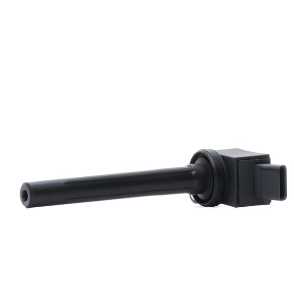 Zündspule 689C0450